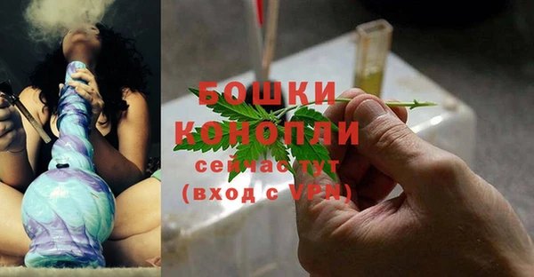 дживик Козловка