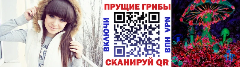Галлюциногенные грибы Cubensis  blacksprut зеркало  Апатиты  купить  цена 