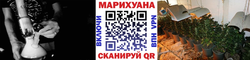 Канабис гибрид  Апатиты 